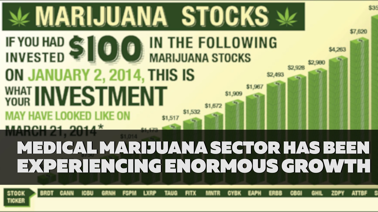 The Medical Marijuana Sector
