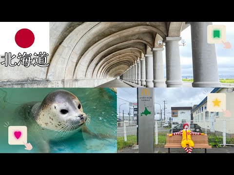 【北海道vlog⑤/稚内】稚内観光｜抜海駅｜稚内港北防波堤ドーム｜ノシャップ寒流水族館｜日本最北端のマクドナルド 40号稚内店【4泊5日】