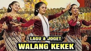 Kombinasi lagu dan joget walang kekek bersama mita punjung dan hani kusuma