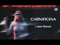 Miniature de la vidéo de la chanson Carnificina