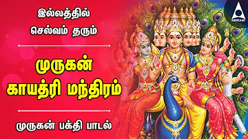 முருகன் காயத்ரி மந்திரம் | வாழ்வை வளமாக்கும் முருகன் பக்தி பாடல் | Murugan Gayatri Mantra