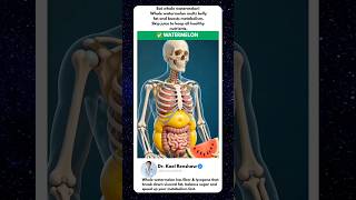 Watermelon  vs Belly Fat | The Truth About Fat Loss #health #facts