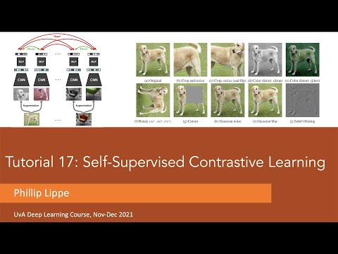 Tutorial 17: Self Supervised Contrastive Learning with SimCLR (Part 2)