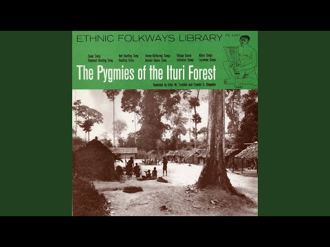Pygmy Legend