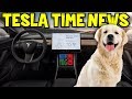 Tesla Time News - Tesla Dog Mode Fixed!
