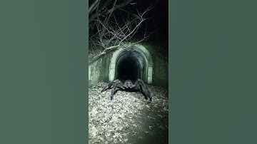 aiCCTV sewer tunnel 2 - Oskar Schuster Wunderland