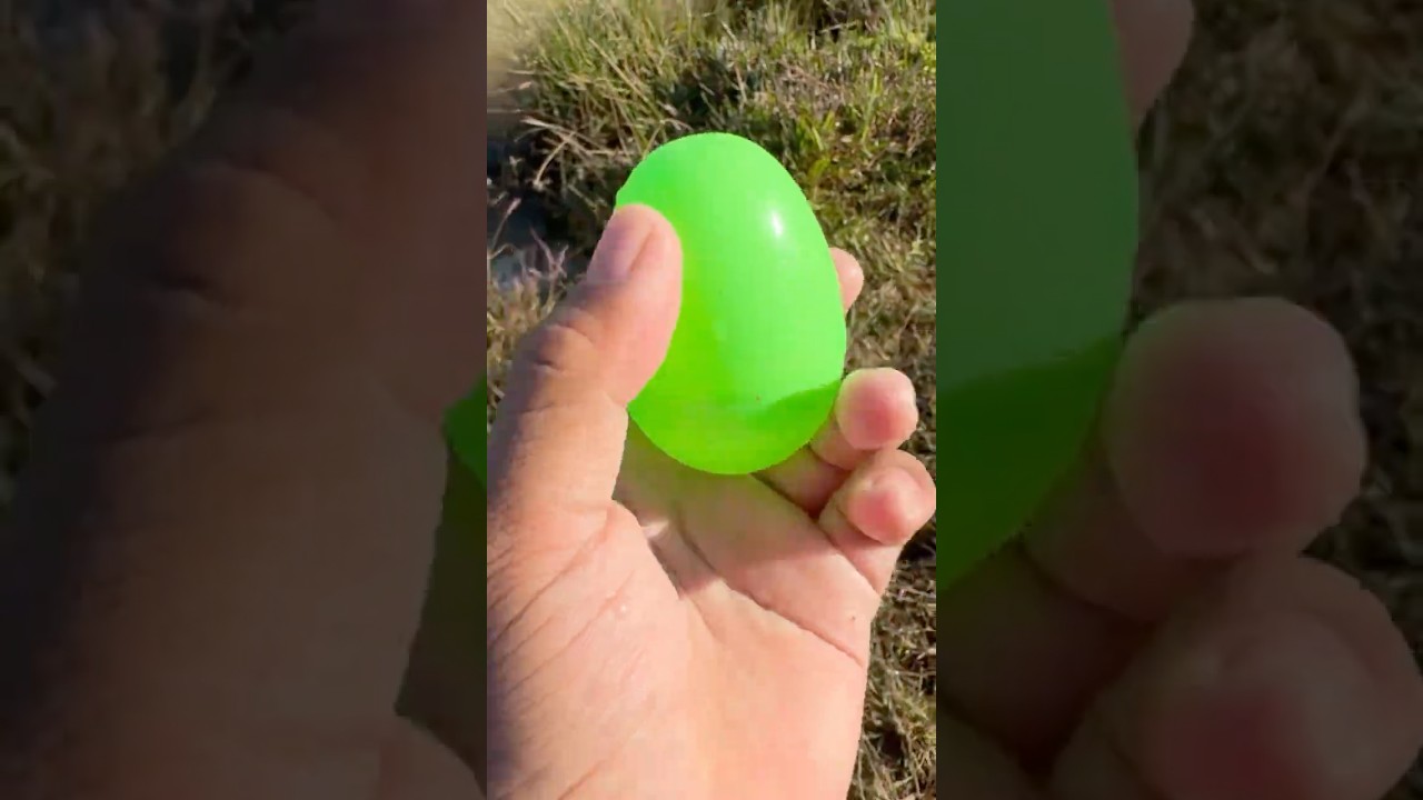 Most Colorful Fish Eggs Ever Seen 🐠✨ 