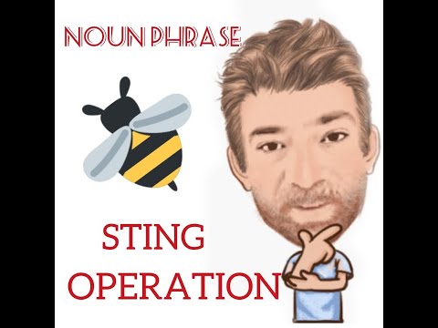 English Tutor Nick P Noun Phrase (235) Sting Operation