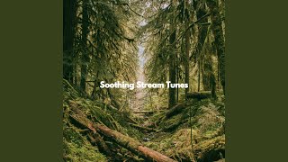 Lovely Music for Powerful Boosts