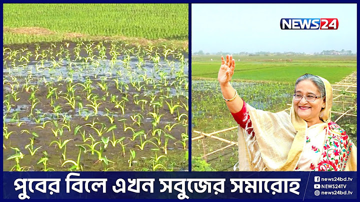 প্রধানমন্ত্রী শেখ হাসিনার এক ঘোষণায় পাল্টে গেছে চিত্র | PM | News24
