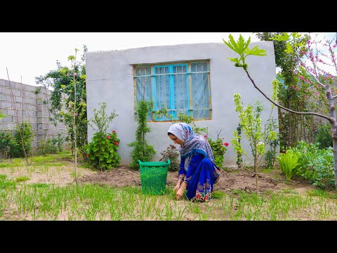 IRAN Village Life | Daily Village Life in the Mountains of Iran