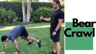Bear Crawl + Lateral Step Variations
