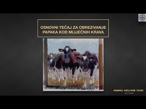 Video: Zašto Je Leđna Difuzna Izbočina Diska Opasna?