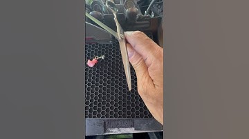 The less spent, more practical, especially when most scissors are “never the same” after sharpening