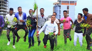 Baayisaa Miidhaksaa(Taaboree) - Birran Quufa - Ethiopian Oromo Music 2020 [Official Video]