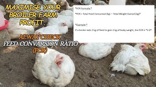 HOW TO MAXIMIZE PROFIT IN A BROILER FARM BUSINESS USING THE FEED CONVERSION RATIO (FCR)