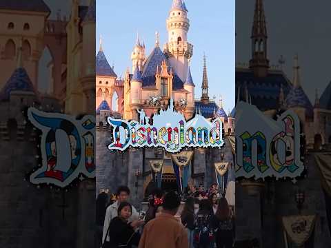 HOW MUCH DOES DISNEYLAND MAKE IN ONE DAY? ? #money #disney #disneyland