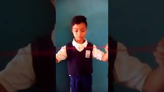 ¿Cuál es el movimiento del Gurrufio?