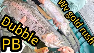 West Virginia gold rush 2026 with a PB Rainbow Net Worth