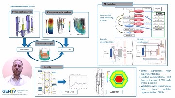PYG4R-2025: Multiscale Thermal-Hydraulic Analysis of Experimental Facilities in Support of LFR