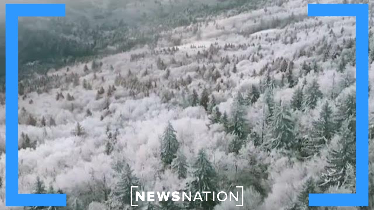 West Virginia offers tax credits to move back home  | Morning in America