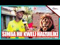 BARAKA YANGA ASHINDWA KUJIZUIA AKUBALI MZIKI WA SIMBA APAGAWA NA ELIE MPANZU BARAKA YANGA ASHINDWA KUJIZUIA AKUBALI MZIKI WA SIMBA APAGAWA NA ELIE MPANZU