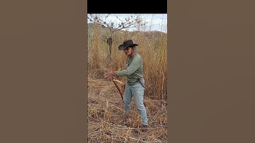 How to Use a Scythe #shorts