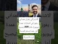 الاشتراكي زهران ممداني يفوز في انتخابات عمدة نيويورك لعام 2025 ليصبح اكسبلور ذواقه معلومات اقن 