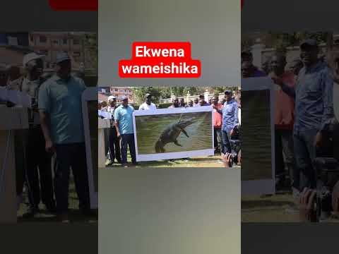 Ya Mulusiba Wameishika Comedymove Humormemes Duet Lifeisbutadream Comedy Viral Humormemes