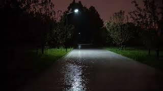 Rhythmic Rain Sounds for Sleep Well being, Relaxation Aid, Mind Harmony