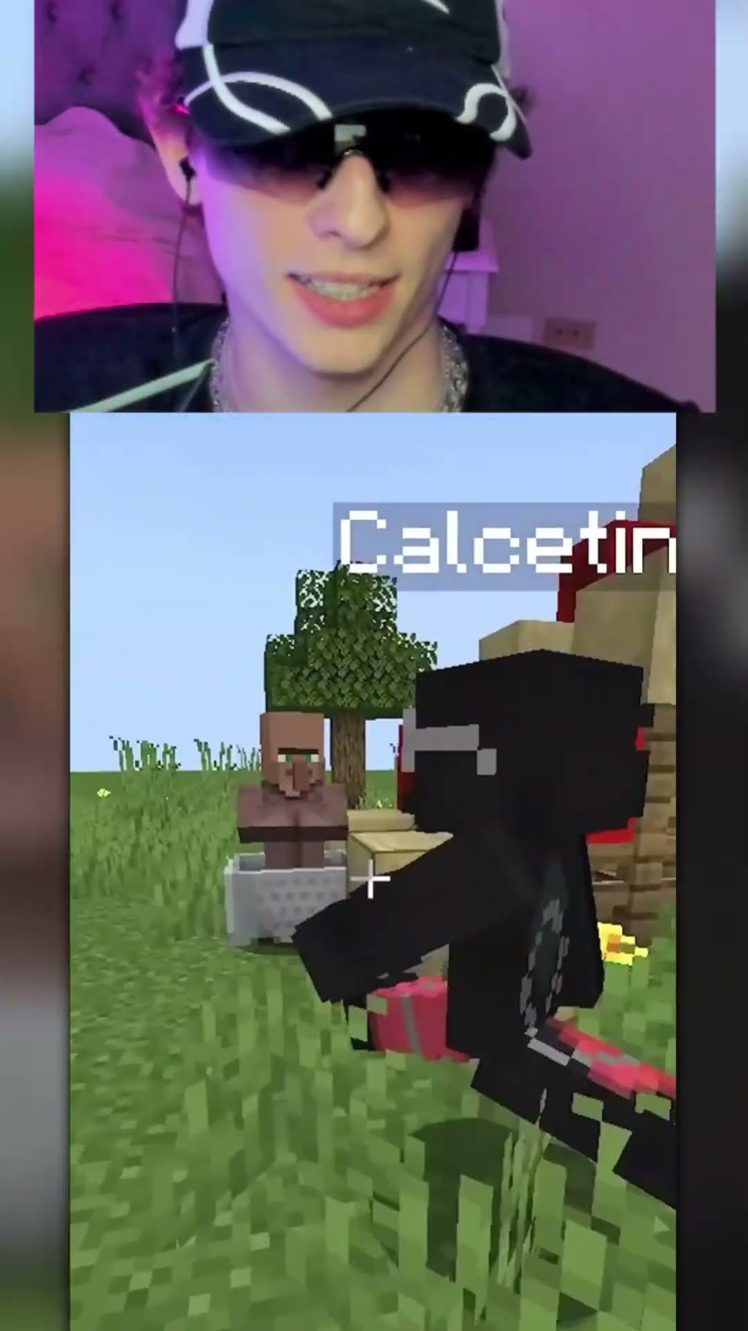 MONTAÑA rusa en MINECRAFT?