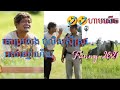 ប្រលេងគោ ឲសុីស្រូវ អស់ស្មៅ🤣🤣. funny video Khmer. ដឹងតាសើចហៀរទឹកមាត់🤣