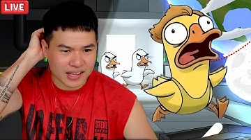 (DailyStream) CHÚ VỊT CAO LÃNH VÀ NGÔI LÀNG QUÁ HIỂU NHAU