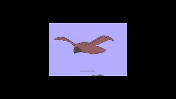 Simple bird animation using flipaclip