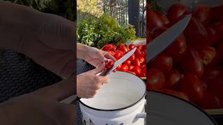 🍅 Маринованные помидоры в томатном соке на зиму