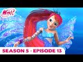 Winx Club - Season 5 Episode 13 "Sirenix" Nickelodeon [HQ]