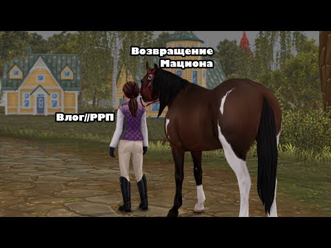 Видео: КОНОВЛОГ……SSO/RRP…..// ВОЗВРАЩЕНИЕ МАЦИОНА // ТРЕНИРОВКИ И О ПЕРЕЕЗДЕ….