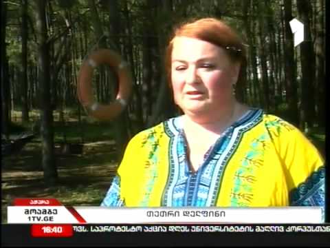 თეთრი დელფინი შავი ზღვის სანაპიროსთან