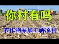 农村又一“新型暴利”加工项目，投资7500元年收入49万，你也可以