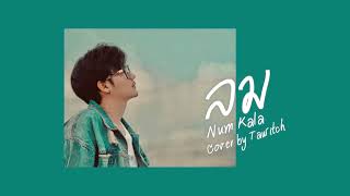 ลม - หนุ่ม กะลา  | cover by เตวิชญ์ chords