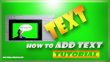 Text tutorial in Anime Studio Pro or Moho 12-HOW TO