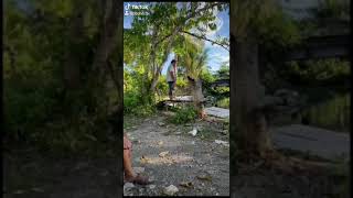 Jagalah Shalat Mu Karena Ketika Kamu Kehilangan Shalat Maka Kamun Akan Kehilangan Segalanyasholat