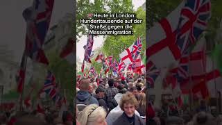 Migranten Demo ‼️#nachrichten #afd #bundestag #cdu #spd #politik