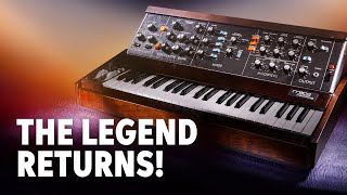 Moog Minimoog Model D Demo – Daniel Fisher