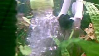 12012010.mp4