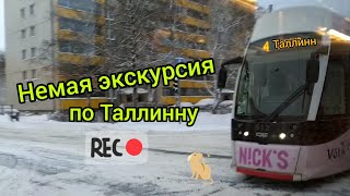 Эстония🇪🇪 в снегу ❄️ прогулка на трамвае 🚞 по снежному Таллинну.