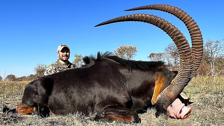 20 Animaux Les Plus Étranges Qui Vivent En Afrique