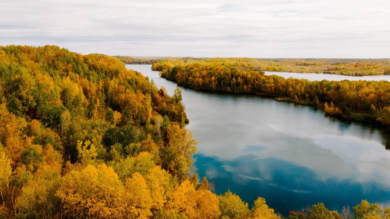 Bust the Bubble | Big Bass Dreams | Oliver Ngy