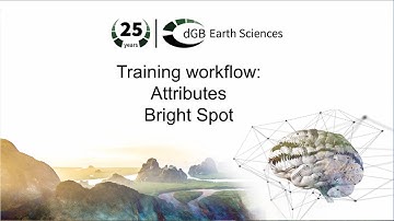 Training workflow: Attributes - Bright Spot