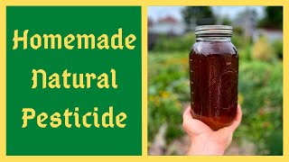 Homemade Natural Pesticide  JADAM Herbal Solution  JHS
